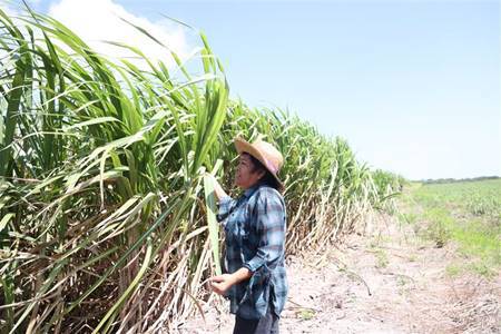 A person standing in a field
AI-generated content may be incorrect.