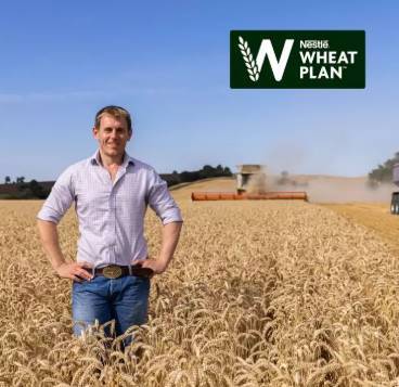 A person standing in a wheat field
AI-generated content may be incorrect.